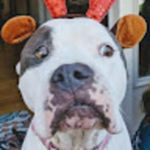 Meet your Posher, Jack